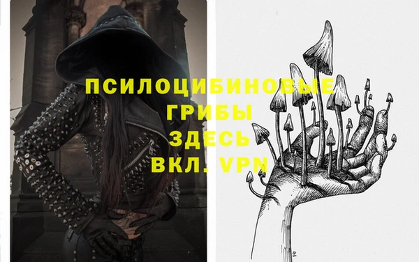 а пвп мука Арсеньев