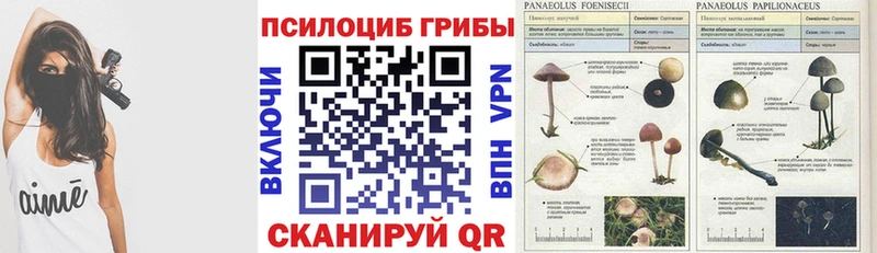 Псилоцибиновые грибы GOLDEN TEACHER  Купить где  Сочи 